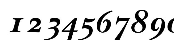 NewBaskervilleODTT BoldItalic Font, Number Fonts