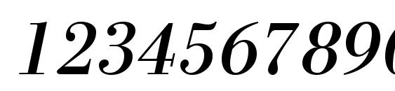 NewBodoni Italic Font, Number Fonts