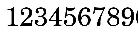 Newbrunswick Font, Number Fonts