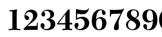 NewCaledoniaLTStd Bold Font, Number Fonts