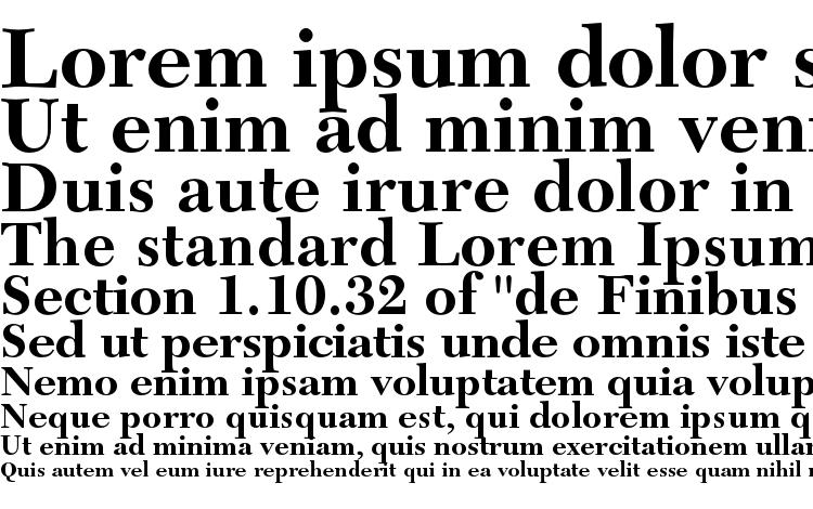 specimens NewCaledoniaLTStd Bold font, sample NewCaledoniaLTStd Bold font, an example of writing NewCaledoniaLTStd Bold font, review NewCaledoniaLTStd Bold font, preview NewCaledoniaLTStd Bold font, NewCaledoniaLTStd Bold font