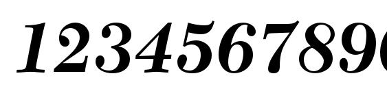 NewCaledoniaLTStd BoldIt Font, Number Fonts