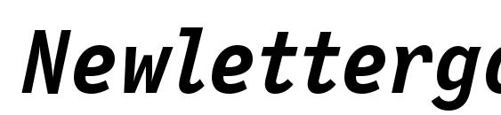 Newlettergothicc bolditalic Font
