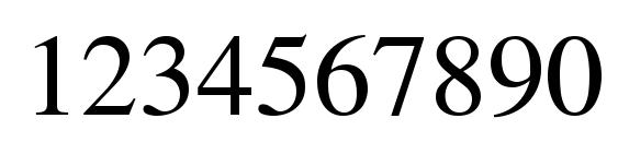 News Serif Font, Number Fonts