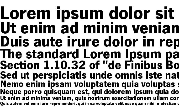 specimens NewsGotT Bold font, sample NewsGotT Bold font, an example of writing NewsGotT Bold font, review NewsGotT Bold font, preview NewsGotT Bold font, NewsGotT Bold font