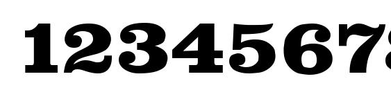 Newsline Heavy SF Bold Font, Number Fonts