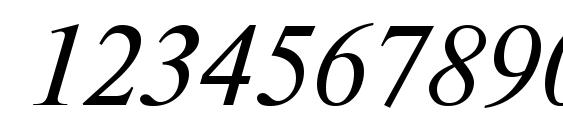 Newton Italic Font, Number Fonts