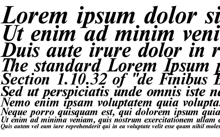 specimens NewtonC Bold Italic font, sample NewtonC Bold Italic font, an example of writing NewtonC Bold Italic font, review NewtonC Bold Italic font, preview NewtonC Bold Italic font, NewtonC Bold Italic font