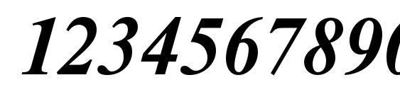 NewtonC BoldItalic Font, Number Fonts