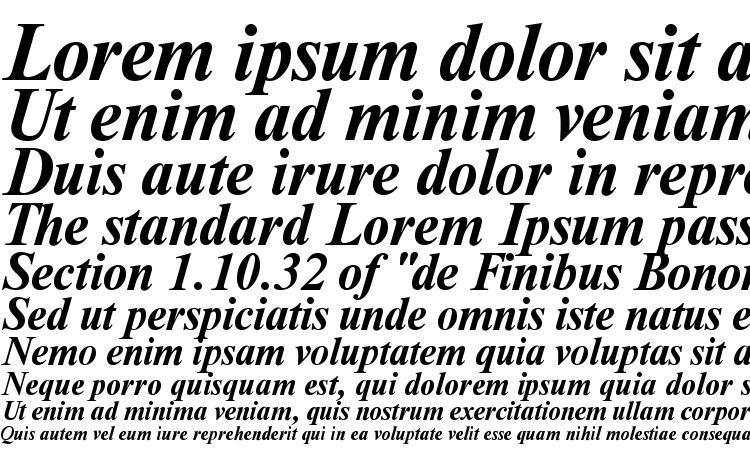 specimens NewtonDOSCTT BoldItalic font, sample NewtonDOSCTT BoldItalic font, an example of writing NewtonDOSCTT BoldItalic font, review NewtonDOSCTT BoldItalic font, preview NewtonDOSCTT BoldItalic font, NewtonDOSCTT BoldItalic font