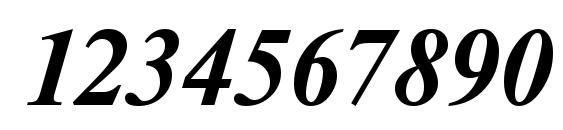 NewtonETT BoldItalic Font, Number Fonts