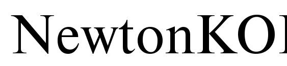 NewtonKOICTT Font