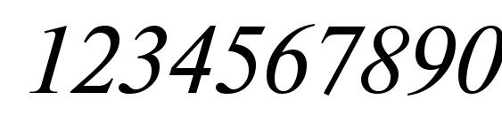 NewtonMACCTT Italic Font, Number Fonts