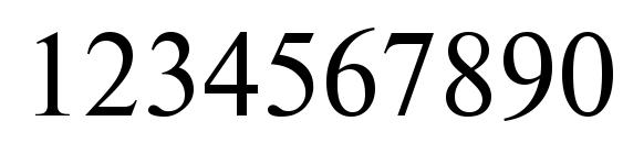 NewtonMGTT Normal Font, Number Fonts