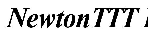 NewtonTTT BoldItalic font, free NewtonTTT BoldItalic font, preview NewtonTTT BoldItalic font