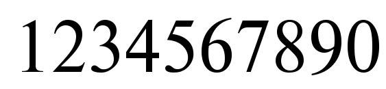 NewtonWINCTT Font, Number Fonts