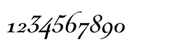 NicolasCocTEEReg Italic Font, Number Fonts