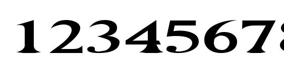 Niew CroMagnon Wide Font, Number Fonts