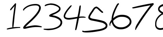 Nihilschiz Handwriting Font, Number Fonts