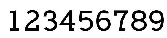 Nilland smallcaps bold Font, Number Fonts