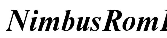 Шрифт NimbusRomDCY Bold Italic