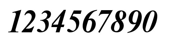 NimbusRomDGR Bold Italic Font, Number Fonts