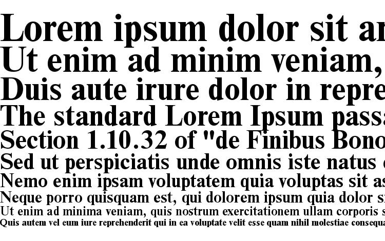 specimens NimbusRomDGR Bold font, sample NimbusRomDGR Bold font, an example of writing NimbusRomDGR Bold font, review NimbusRomDGR Bold font, preview NimbusRomDGR Bold font, NimbusRomDGR Bold font