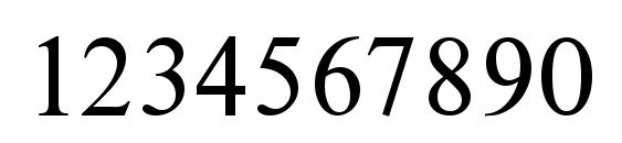 NimbusRomDGR Font, Number Fonts