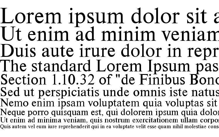 specimens NimbusRomDGR font, sample NimbusRomDGR font, an example of writing NimbusRomDGR font, review NimbusRomDGR font, preview NimbusRomDGR font, NimbusRomDGR font