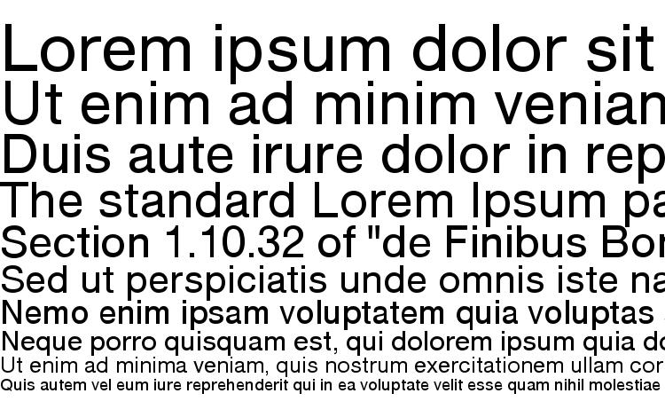 specimens NimbusSanNo5TCY font, sample NimbusSanNo5TCY font, an example of writing NimbusSanNo5TCY font, review NimbusSanNo5TCY font, preview NimbusSanNo5TCY font, NimbusSanNo5TCY font