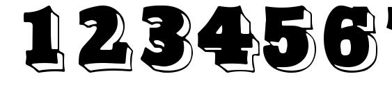 Northfacedisplaycapsssk regular Font, Number Fonts