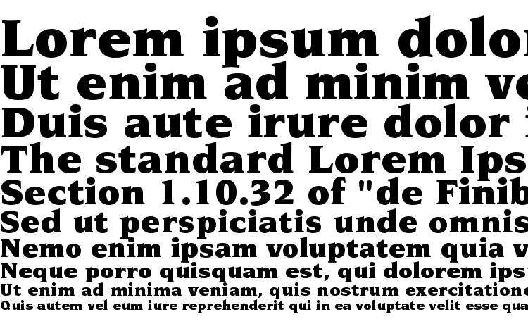 specimens NovareseStd Ultra font, sample NovareseStd Ultra font, an example of writing NovareseStd Ultra font, review NovareseStd Ultra font, preview NovareseStd Ultra font, NovareseStd Ultra font