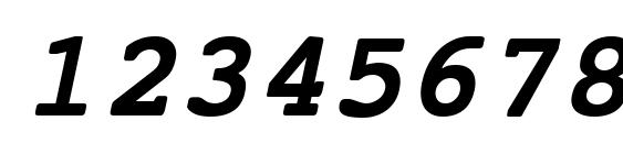 NTCourierVK BoldOblique Font, Number Fonts