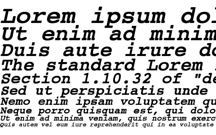 specimens NTCourierVK BoldOblique font, sample NTCourierVK BoldOblique font, an example of writing NTCourierVK BoldOblique font, review NTCourierVK BoldOblique font, preview NTCourierVK BoldOblique font, NTCourierVK BoldOblique font