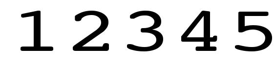 NTCourierVK Normal140n Font, Number Fonts