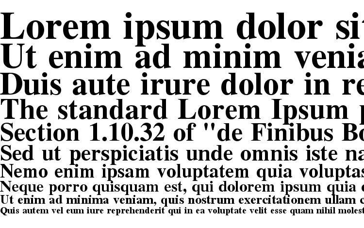 specimens NTTimes Bold font, sample NTTimes Bold font, an example of writing NTTimes Bold font, review NTTimes Bold font, preview NTTimes Bold font, NTTimes Bold font