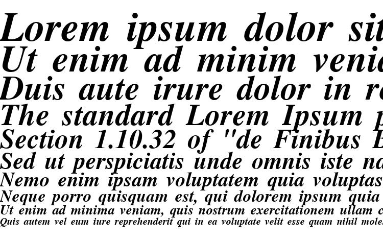 specimens NTTimes BoldItalic font, sample NTTimes BoldItalic font, an example of writing NTTimes BoldItalic font, review NTTimes BoldItalic font, preview NTTimes BoldItalic font, NTTimes BoldItalic font