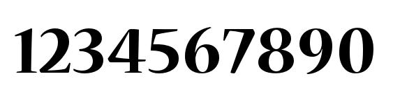 NuevaStd Bold Font, Number Fonts