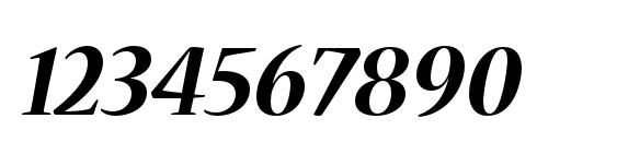 NuevaStd BoldItalic Font, Number Fonts