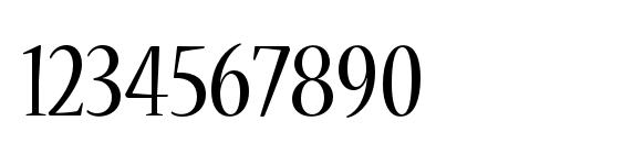 NuevaStd Cond Font, Number Fonts