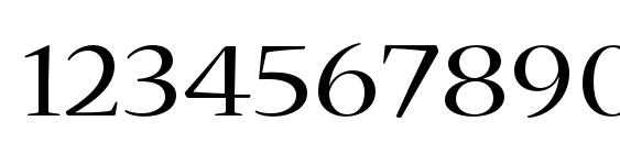 NuevaStd Extended Font, Number Fonts