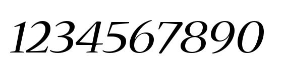 NuevaStd ExtendedItalic Font, Number Fonts