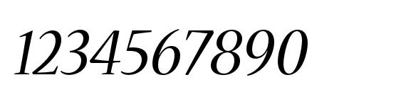 NuevaStd Italic Font, Number Fonts