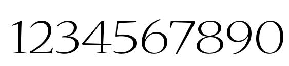 NuevaStd LightExtended Font, Number Fonts