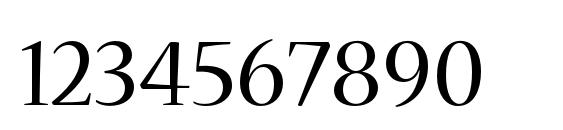 NuevaStd Regular Font, Number Fonts