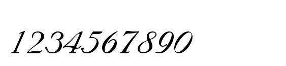 Nuncio Regular Font, Number Fonts