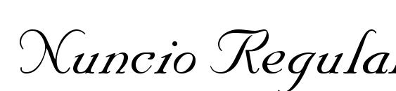Nuncio Regular font, free Nuncio Regular font, preview Nuncio Regular font