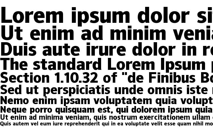 specimens NuOrder Heavy font, sample NuOrder Heavy font, an example of writing NuOrder Heavy font, review NuOrder Heavy font, preview NuOrder Heavy font, NuOrder Heavy font