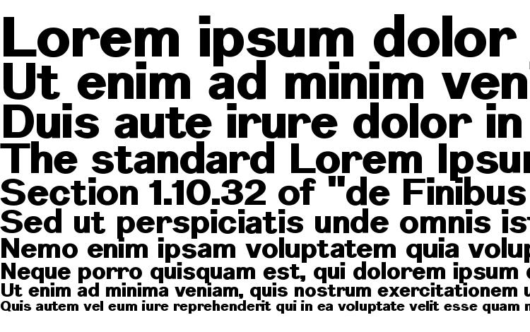 specimens Nurom Heavy font, sample Nurom Heavy font, an example of writing Nurom Heavy font, review Nurom Heavy font, preview Nurom Heavy font, Nurom Heavy font
