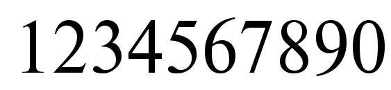 Nwt55 c Font, Number Fonts
